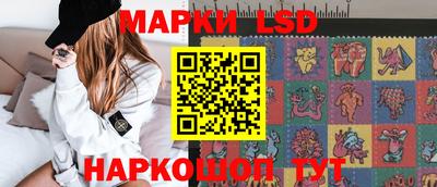 дмт Кимры