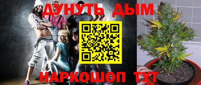 дмт Кимры