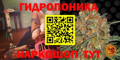 дмт Кимры